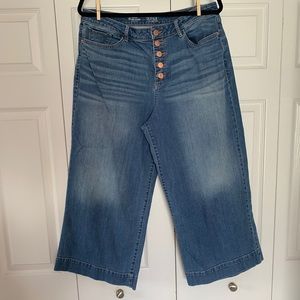 a.n.a. A New Approach high rise wide leg crop Jean size 14 button fly